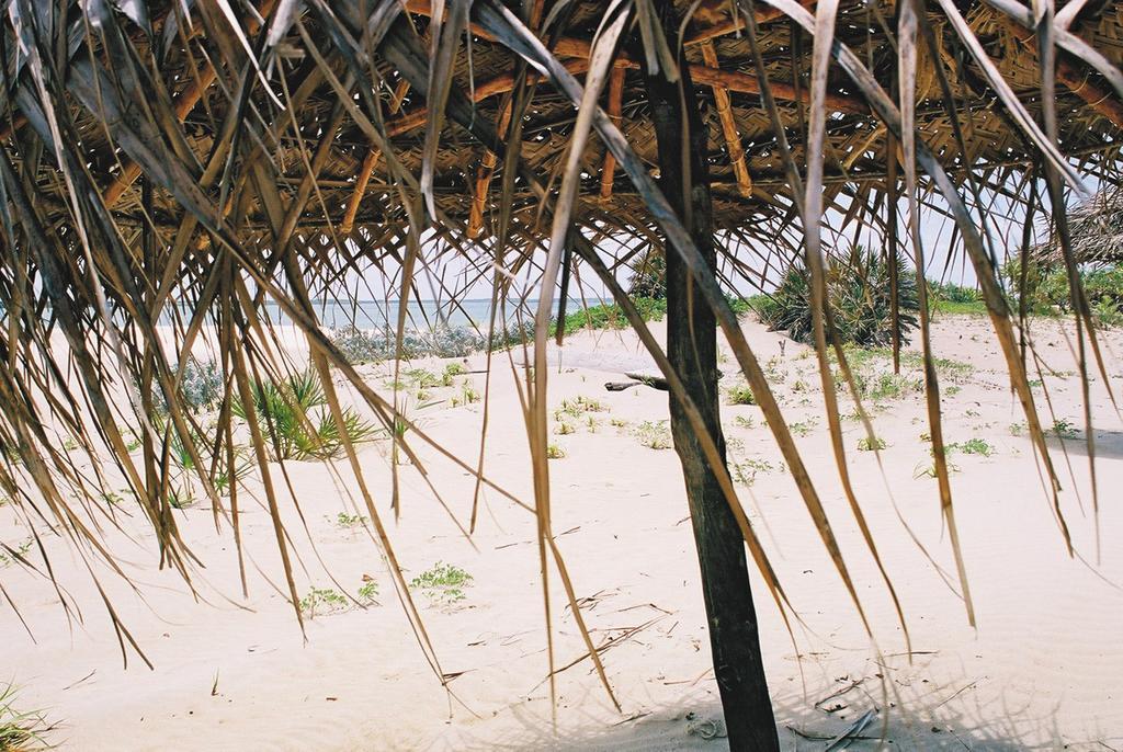 Kizingo Villa Lamu Bagian luar foto